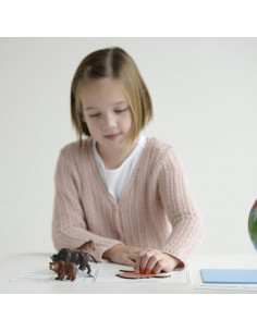 The Animal Continent Box 2