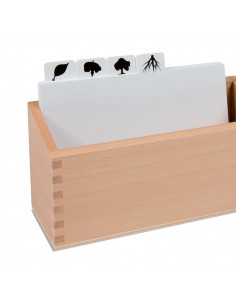 Botany Puzzle: Copy Masters... 2