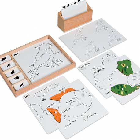 Actividades Zoología Montessori | Nienhuis Montessori
