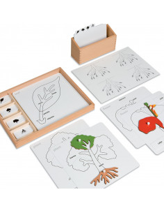 Botany Puzzle Activity Set 2