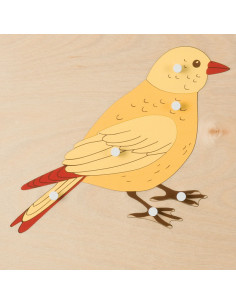 Animal Puzzle: Bird 2