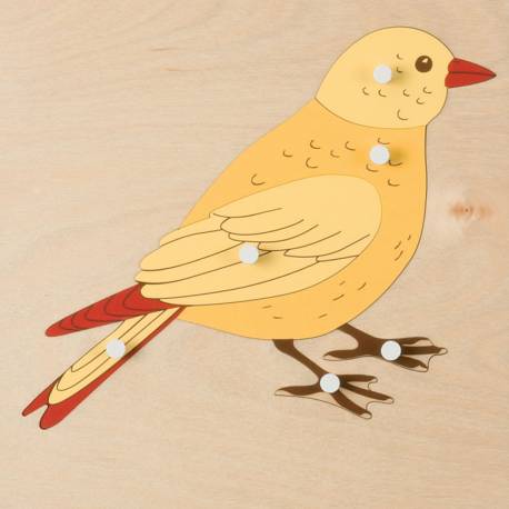 Puzzle zoología Montessori | PAJARO | Nienhuis Montessori
