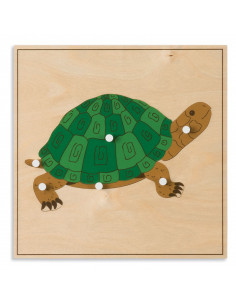 Animal Puzzle: Turtle