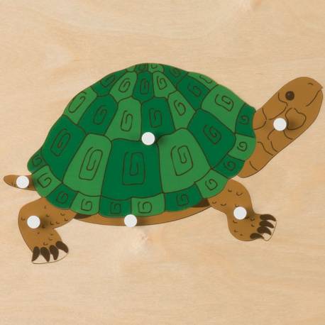 Puzzle zoología Montessori | TORUTUGA | Nienhuis Montessori