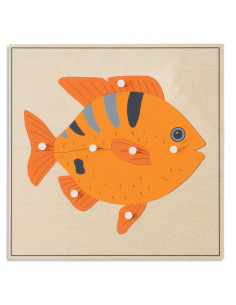 Animal Puzzle: Fish