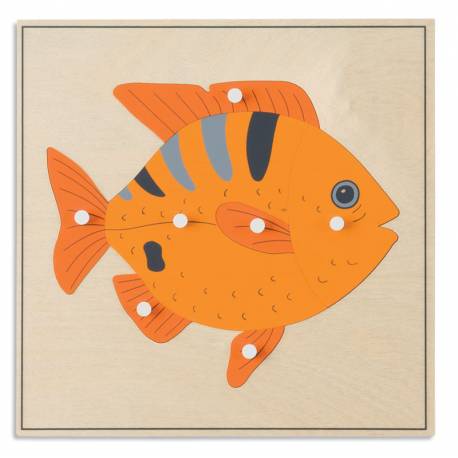 Animal Puzzle: Fish