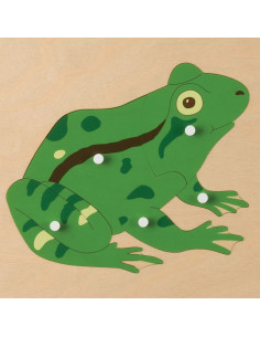 Animal Puzzle: Frog 2