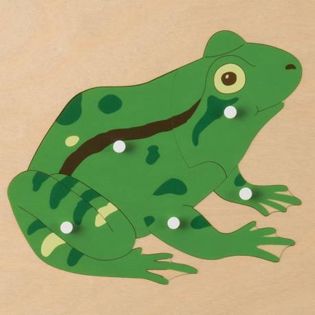 Puzzle zoología Montessori | RANA | Nienhuis Montessori