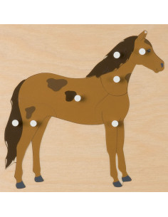 Animal Puzzle: Horse 2