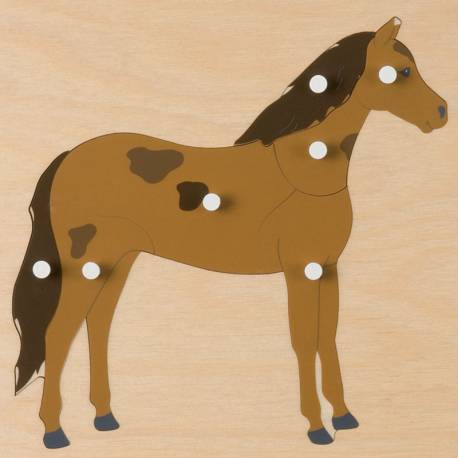 Puzzle zoología Montessori | CABALLO | Nienhuis Montessori