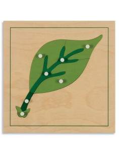Botany Puzzle: Leaf