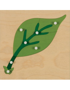 Botany Puzzle: Leaf 2