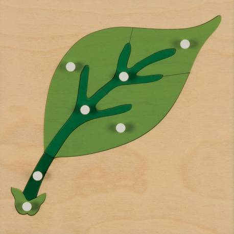 Puzzle botánica Montessori | HOJA | Nienhuis Montessori