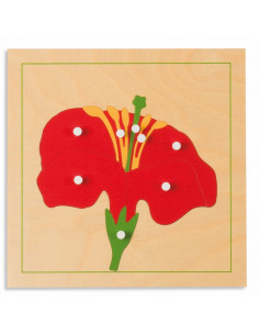 Botany Puzzle: Flower
