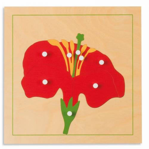 Puzzle botánica Montessori |FLOR | Nienhuis Montessori