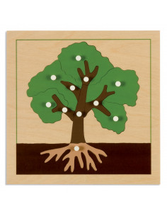 Botany Puzzle: Tree