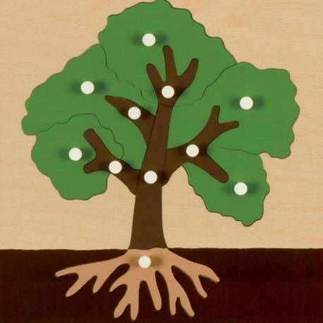 Puzzle botánica Montessori | ARBOL | Nienhuis Montessori