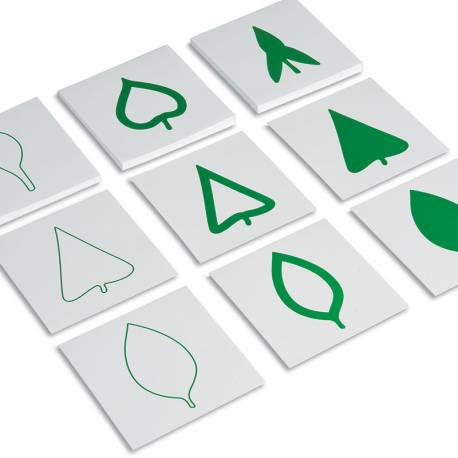 Tarjetas del gabiente de botánica | Nienhuis Montessori