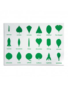 Botany Cabinet Control Chart