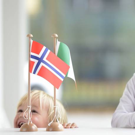 Banderas de Asia con un Stand | Montessori Geografía | Nienhuis