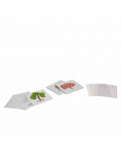 First Set Of Botany Cards