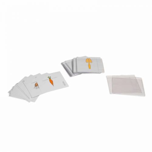 Segundo juego de cartas de botánica | Material Montessori | Nienhuis