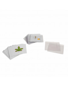 Third Set Of Botany Cards
