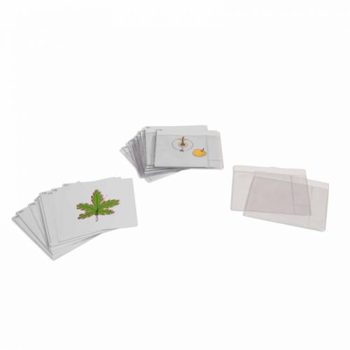 Tercer juego de cartas de botánica | Material Montessori | Nienhuis