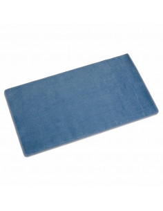 Light Blue Carpet