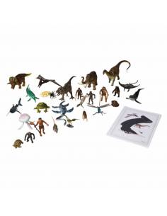 Animals And Book For The...