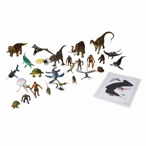 Animales y libro línea negra | Educación cósmica Montessori| Nienhuis