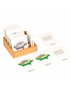 Plantcell nomenclature