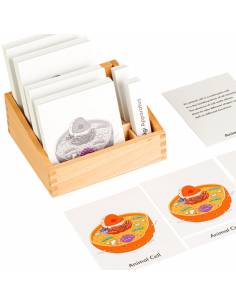 Animal cell nomenclature cards 2