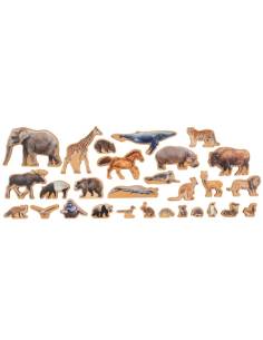 The Animal Continent Box 2