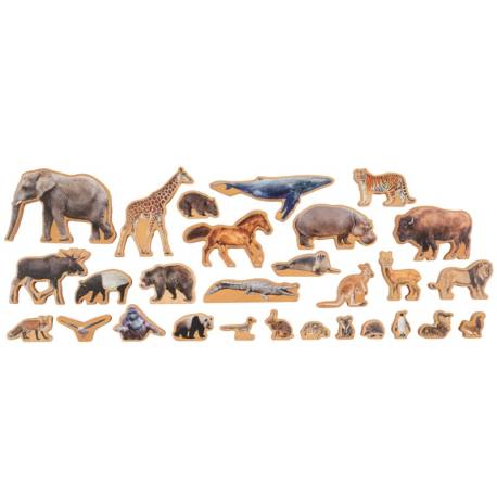 Caja de animales y continentes | Nienhuis Montessori | GEOGRAFIA