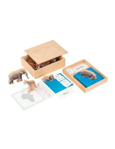 The Animal Continent Box
