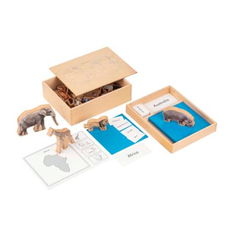The Animal Continent Box