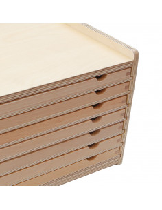 Gabinete geometría / botánica 2