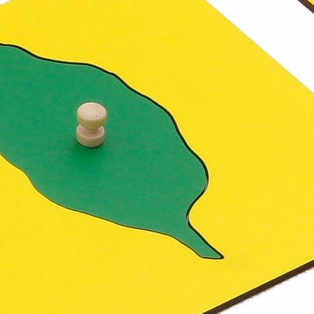 Inserciones de formas de hojas | Gonzagarredi Oficial Montessori