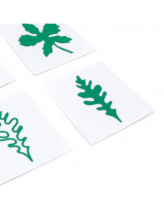 Tarjetas con hojas 2