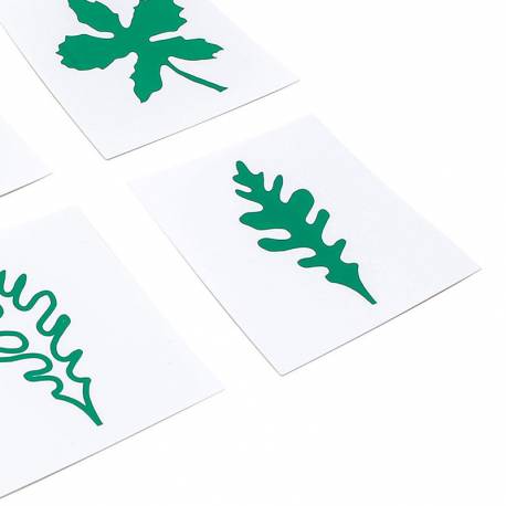 Tarjetas con hojas