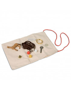 Mystery Bag: Familiar Items