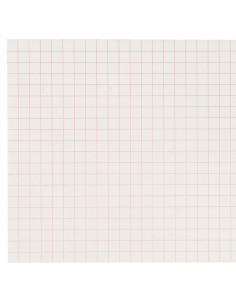 Squared Paper: 10 mm (250) 2