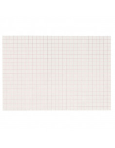 Squared Paper: 10 mm (250)