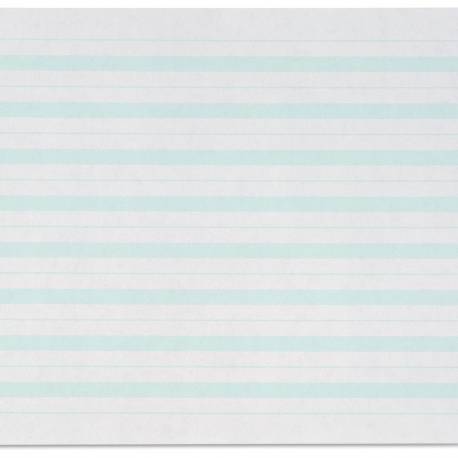 Papel verde | 8 líneas| Pauta Montessori Escribir | Nienhuis - Nebulae